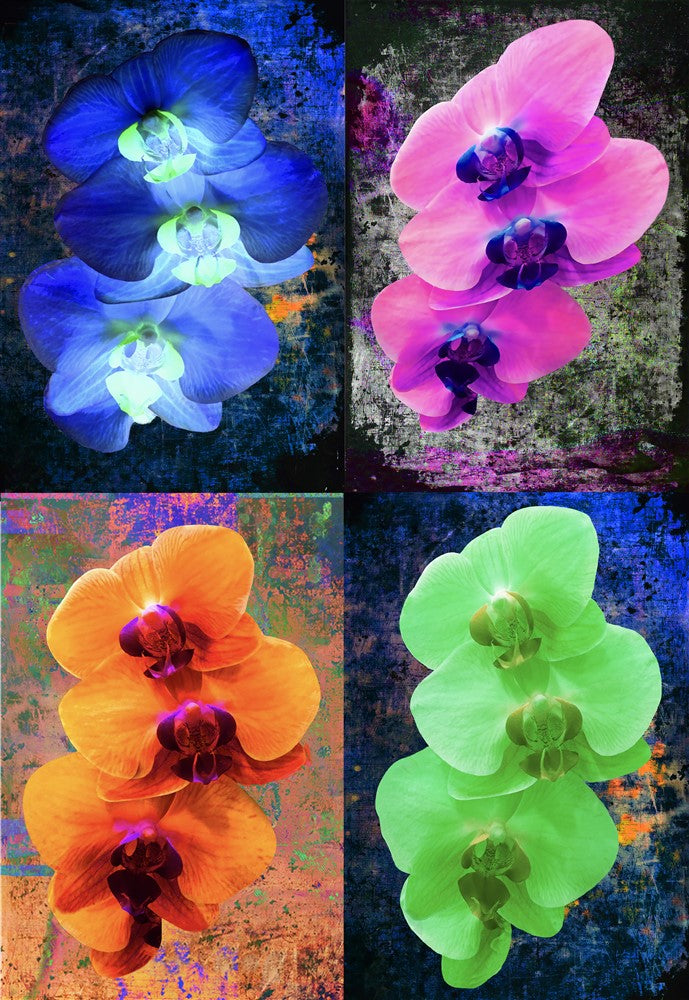 Four Orchids- Original Art Work - Mike Hobbs